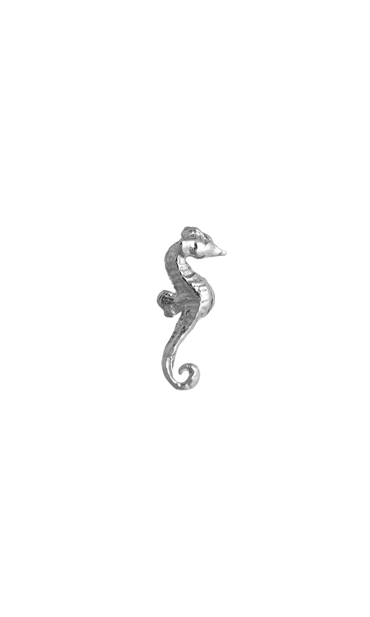 Seahorse